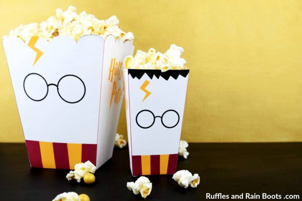 Harry Potter craft paper popcorn boxes.