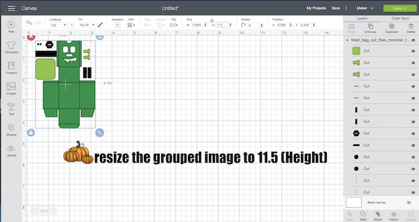 resize the grouped image to 11.5 in height