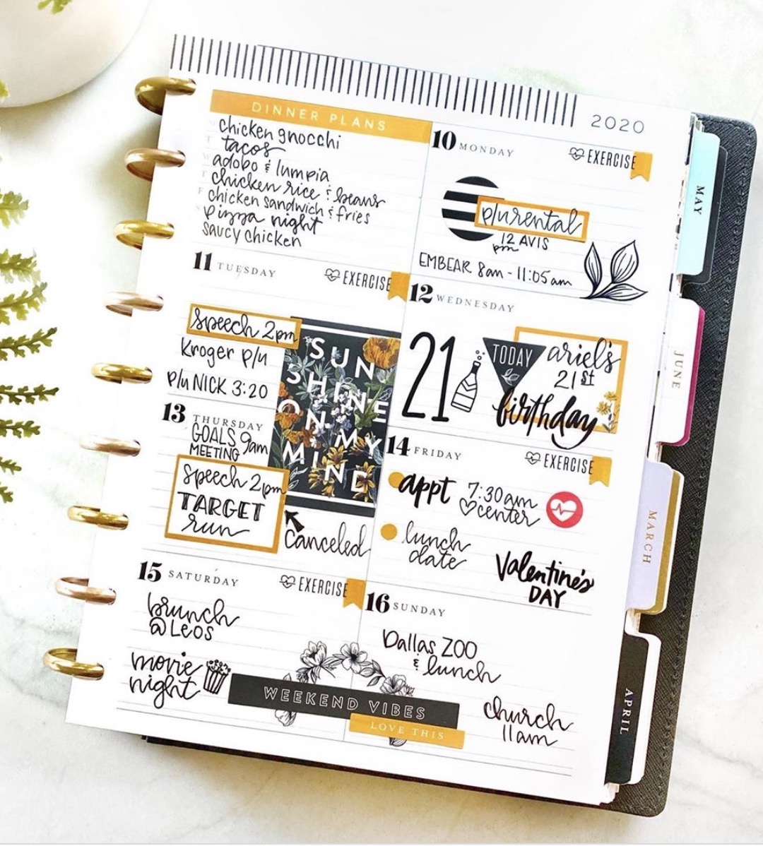 The Happy Planner Dashboard Layout An Honest Review