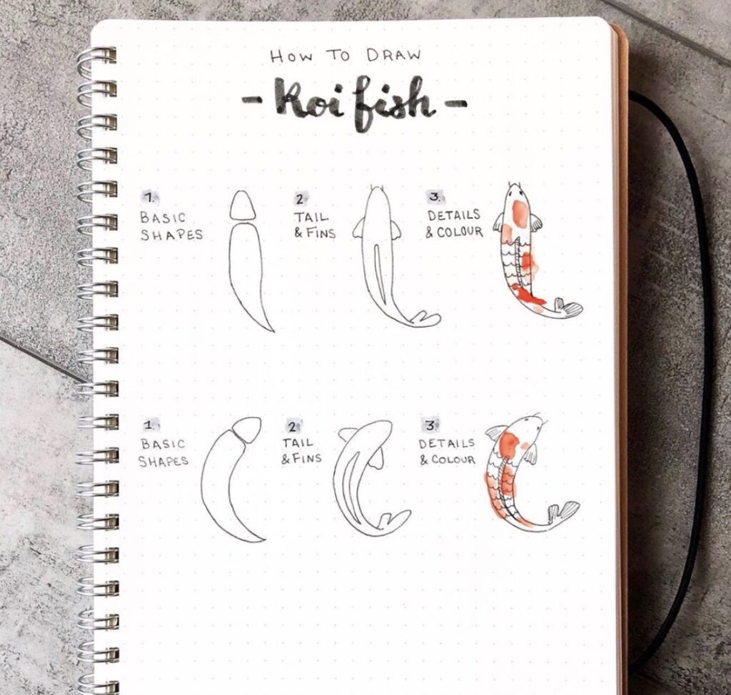 How to Draw a Fish - 17 Step by Step Tutorials for Your Bujo