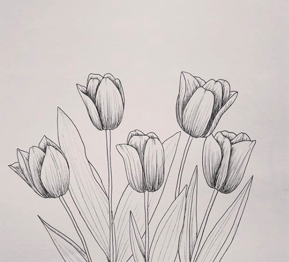 tulip-a basic stroke