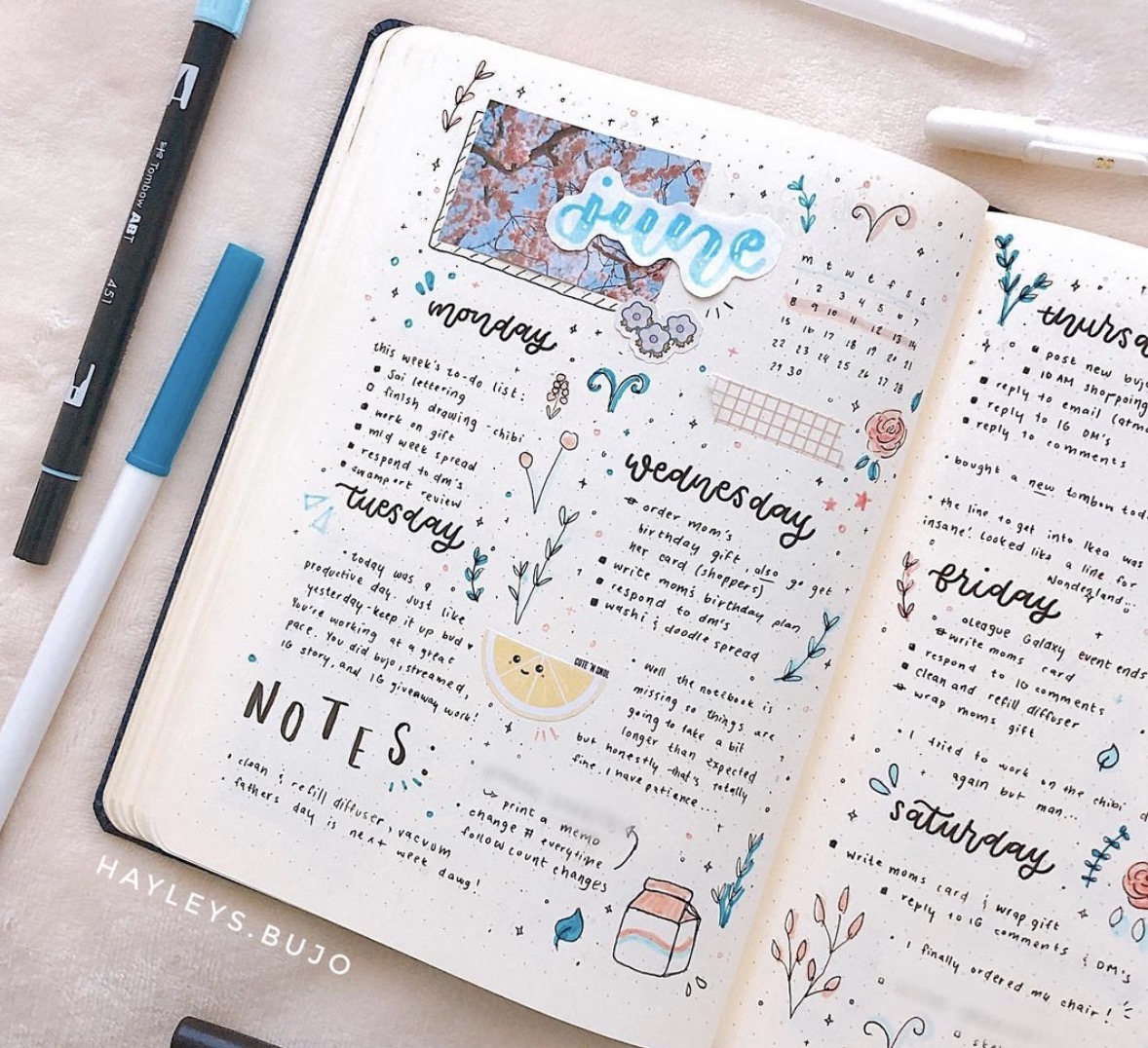 Over 49 Inspiring Bullet Journal Weekly Spread Ideas