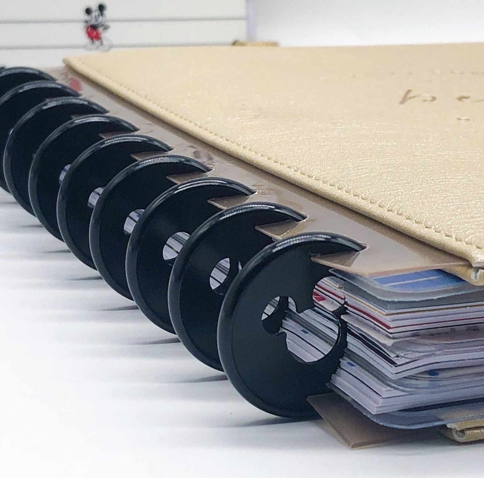 Discbound Planner Basics That You Need To Know To Get Started