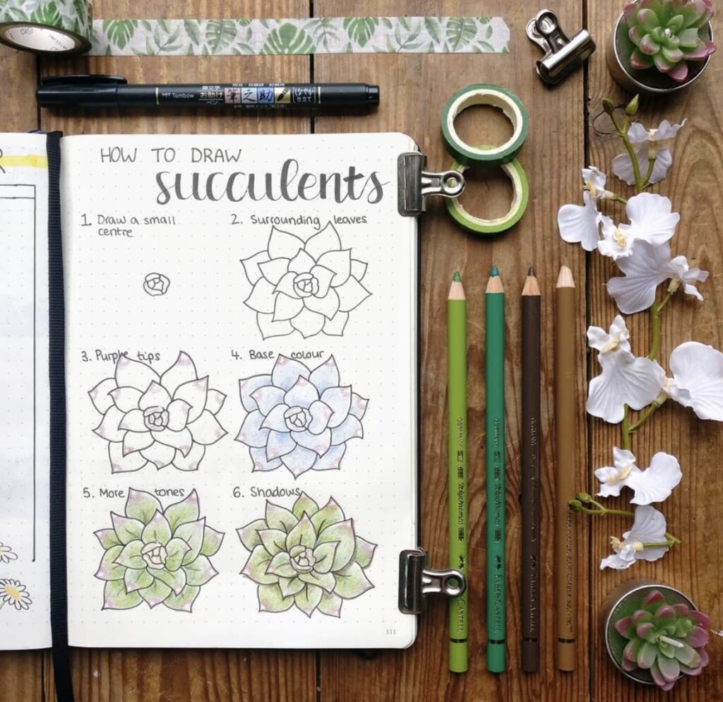 draw-and-color-succulents-bujocute