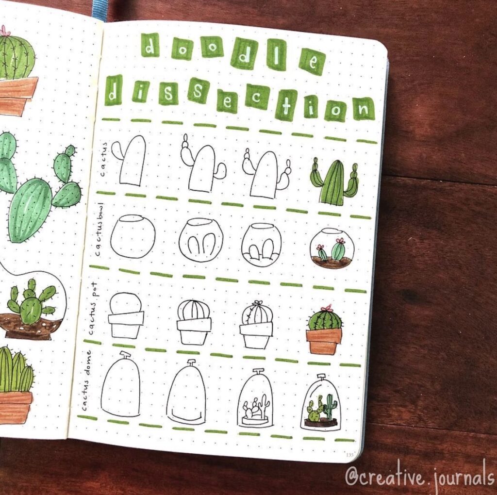 draw-color-succulents-cacti-julipenobagelco