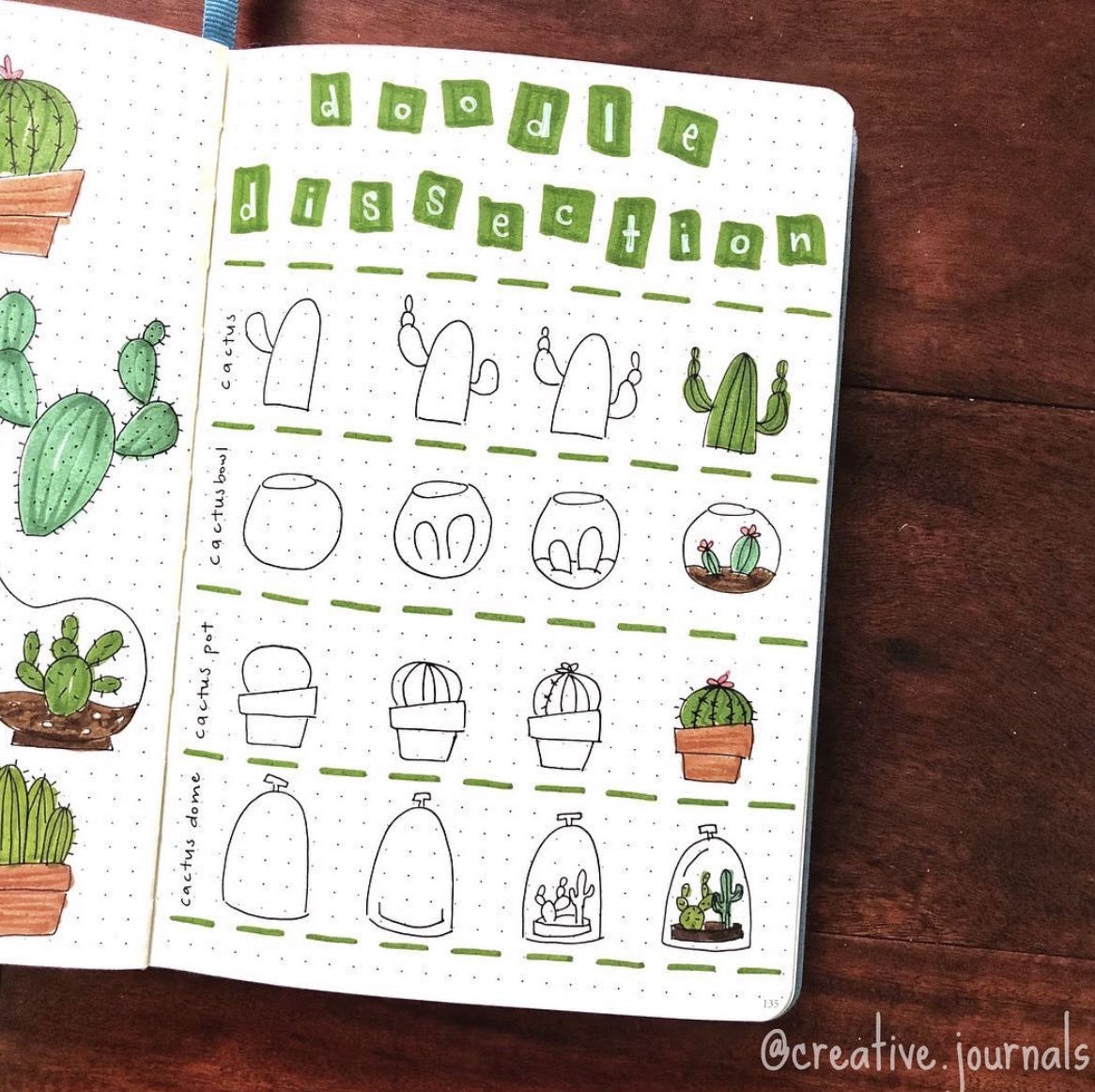 How to Draw Succulents with Easy Step by Step Tutorials