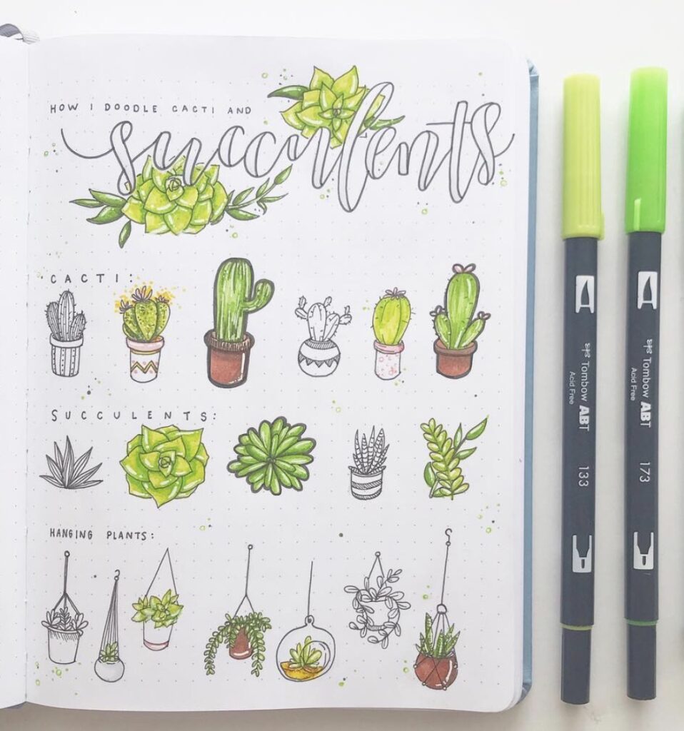 How To Draw Succulents With Easy Step By Step Tutorials