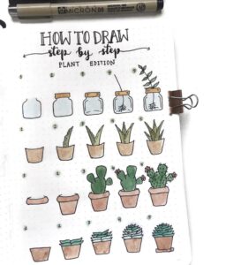 How to Draw Succulents with Easy Step by Step Tutorials