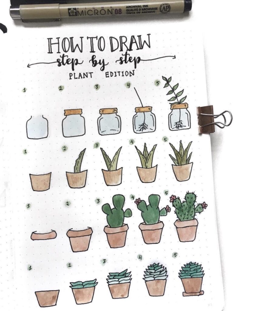 How To Draw Succulents With Easy Step By Step Tutorials 4858