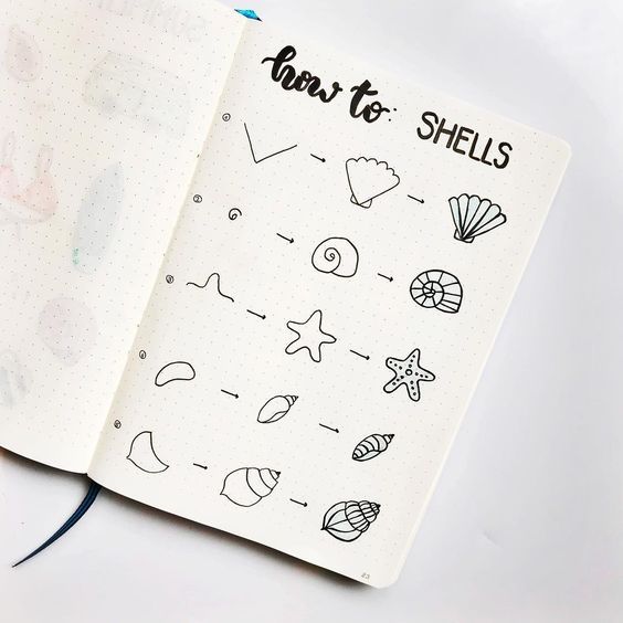 how to draw shells