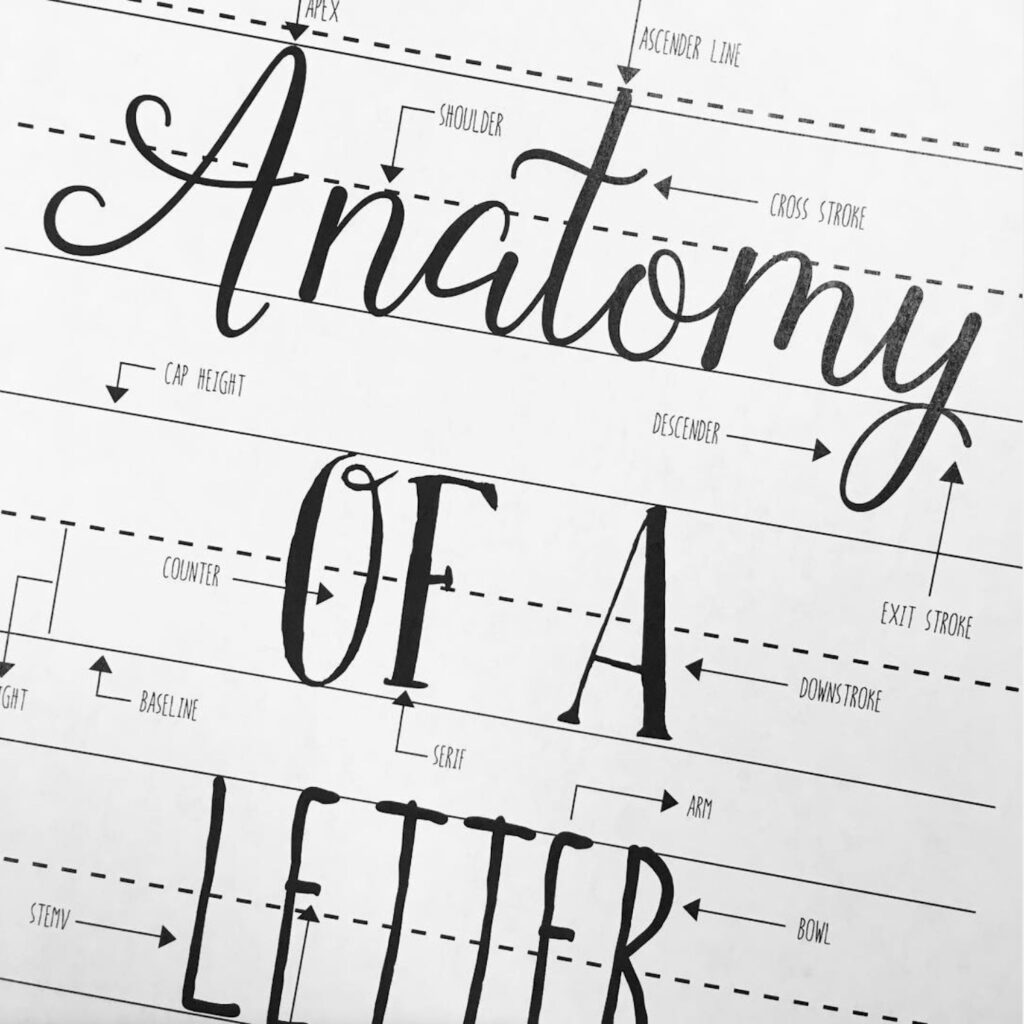 letter-anatomy-thatsjustmytype