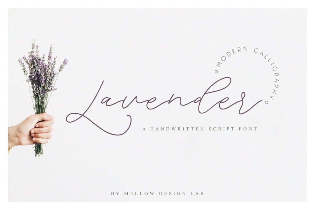 lavender-1-1-01-