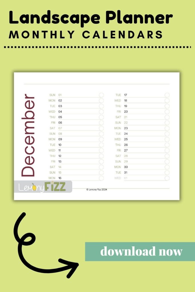 Simple calendar template 2024 – Landscape December Calendar