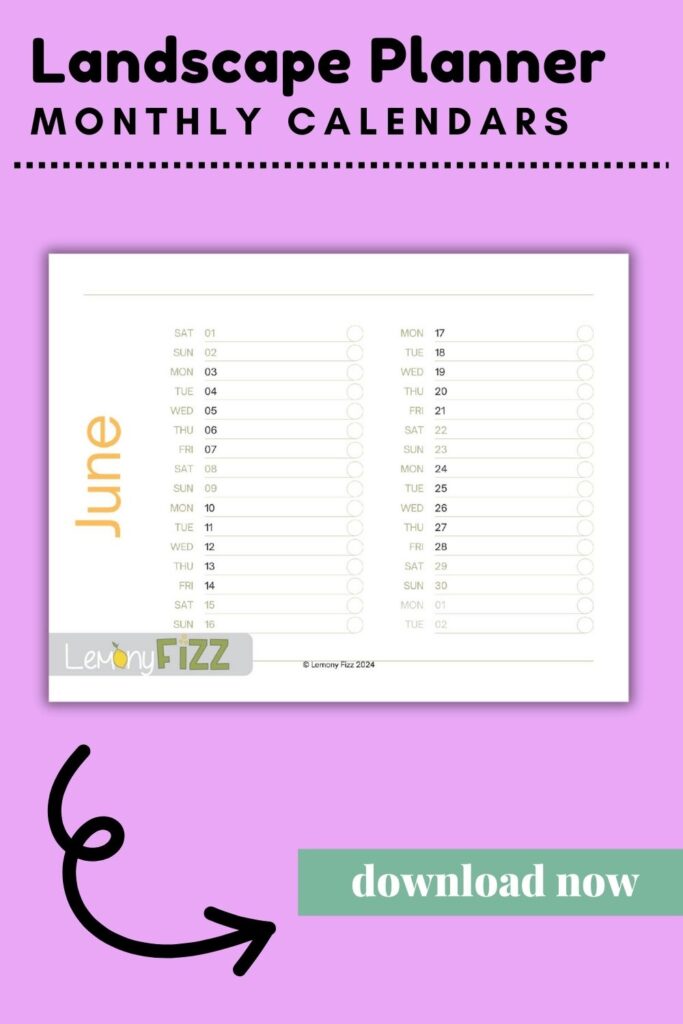 Simple calendar template 2024 – Landscape June Calendar