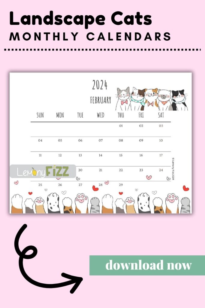 cute cat illustrations landscape 2024 calendar