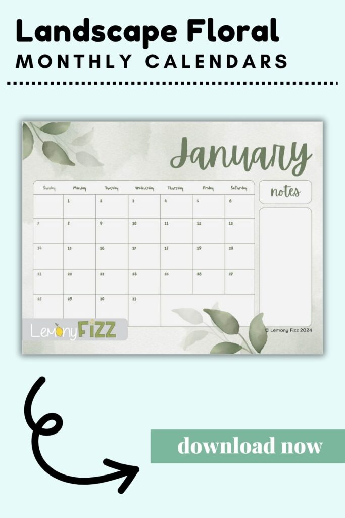 Aesthetic January Calendar – Charming and Practical for 2024 