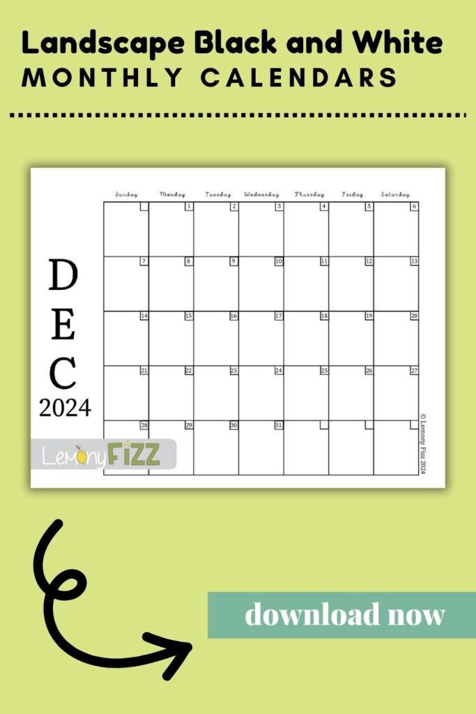 Feel free to print the chic landscape black and white calendar design for December 2024.