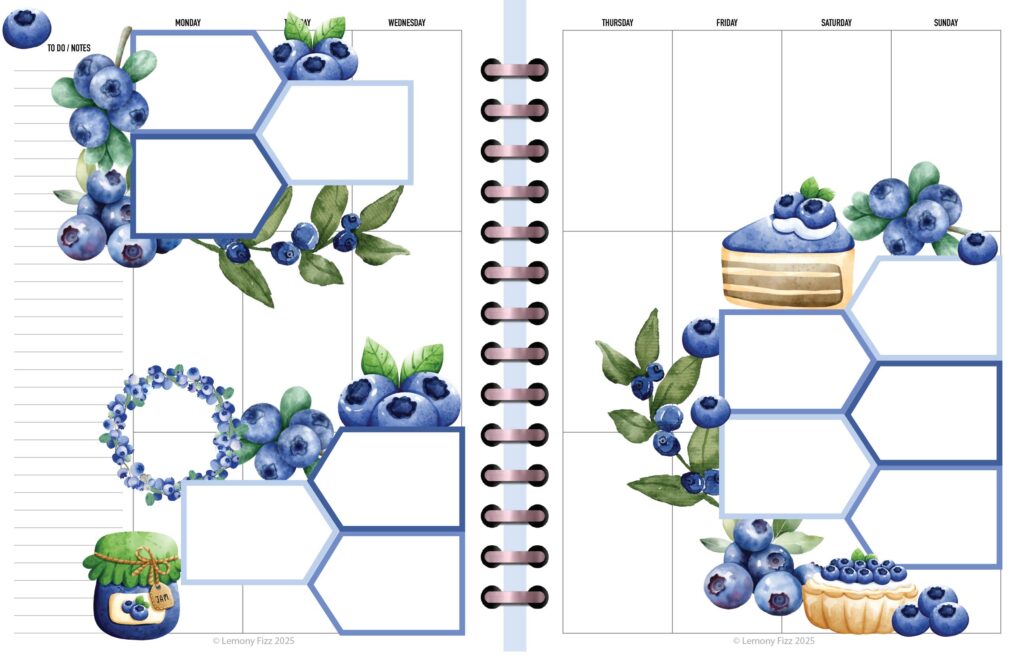 blueberry-predecorated-vertical