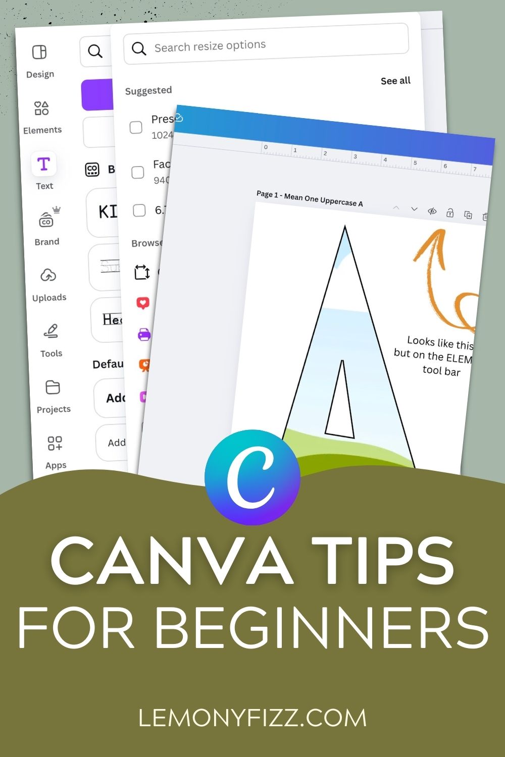 canva tips for beginners